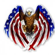 Eagle33