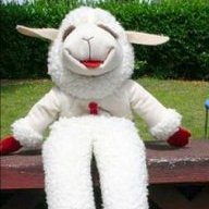 Lambchop