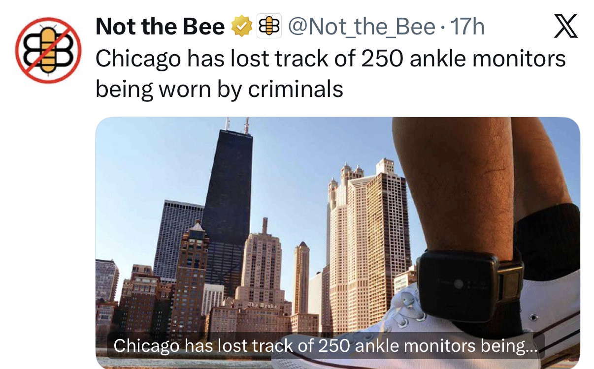 1778848651557.png