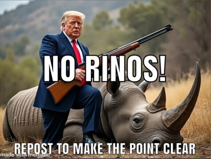 1779804410012.png