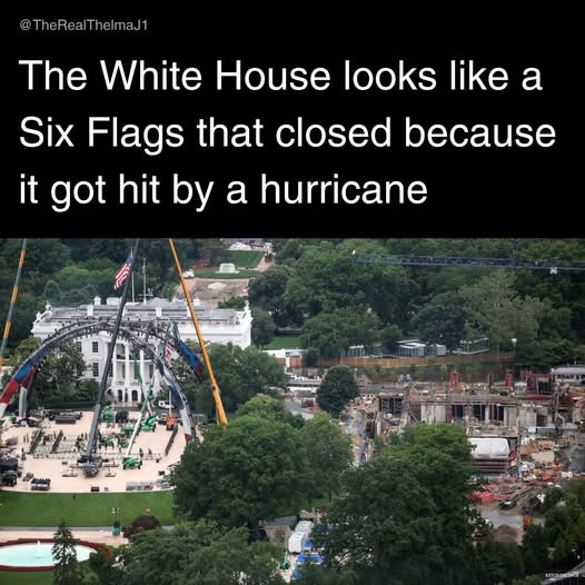 1780345732169.png