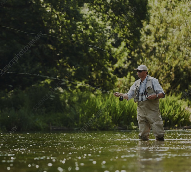 Screenshot_20260114_170704_Samsung Internet.jpg