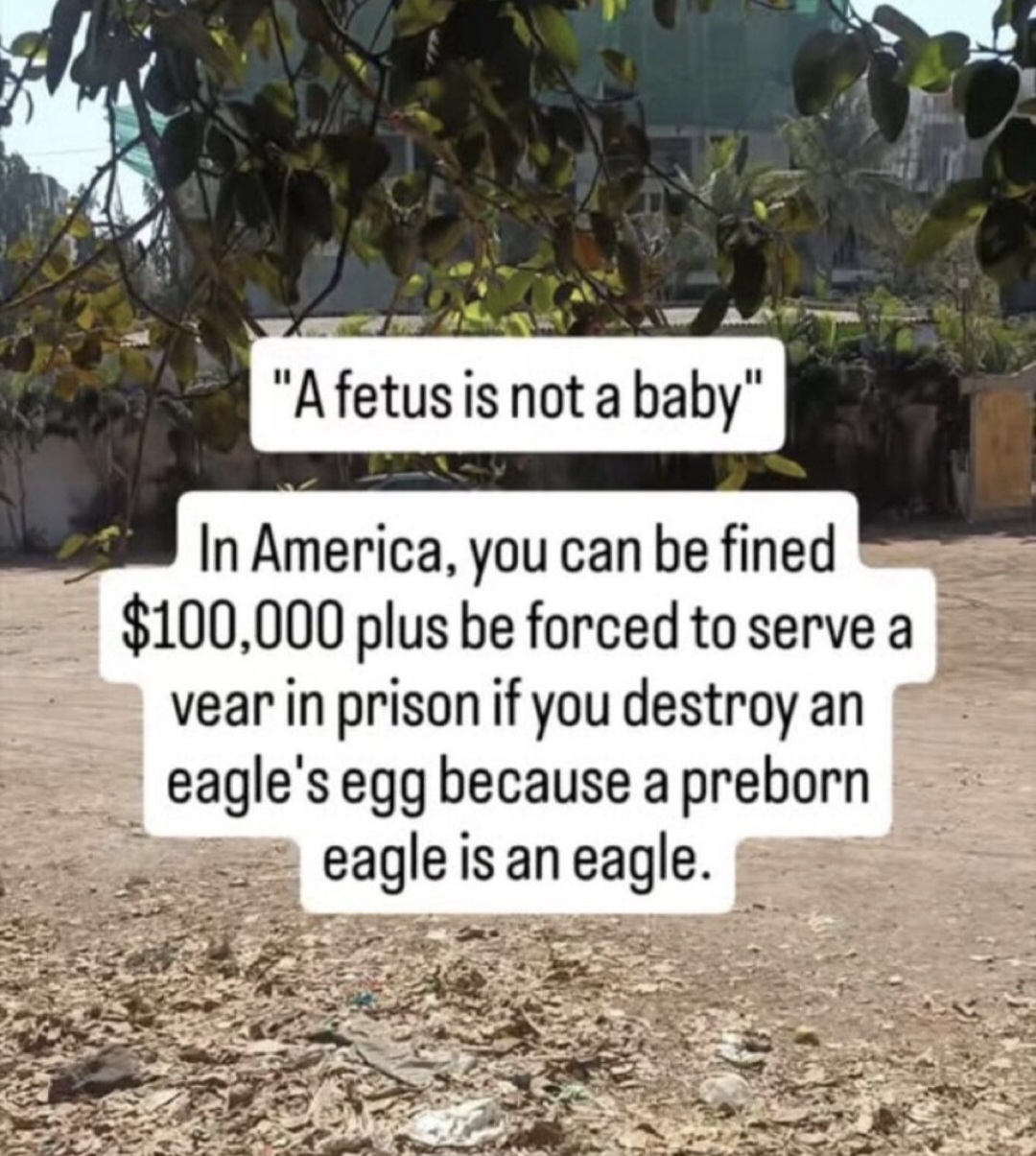 Screenshot_20260204_094215_Truth Social.jpg