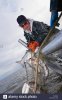 alaska-governor-sarah-palin-setnet-fishing-for-sockeye-salmon-on-the-DYAH2G.jpg