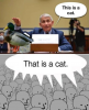 1639846877584.png
