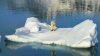 images (6).jpeg