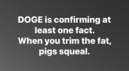 1740406332365.png