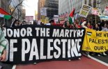 palestine-nyc042522-678x438.jpeg