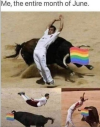 1748635788461.png