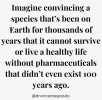 1750076630497.png