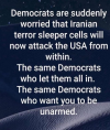 1750950447351.png