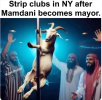 1751647986069.png 1751647986069.png