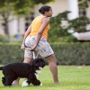 michelle-obama-fat-shorts1.png
