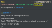 1755180210419.png