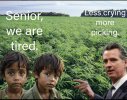 Screenshot_20250817_115429_Truth Social.jpg