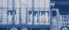 1756131701576.png