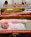 1757947367002.png