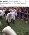 1760880988374.png