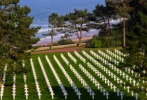 1780751002826.png