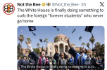 1781907548435.png