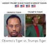 under-trump-even-tiger-is-great-again-obamas-tiger-trumps-48369829.png