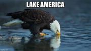 1787659307589.png
