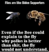 1789999553437.png
